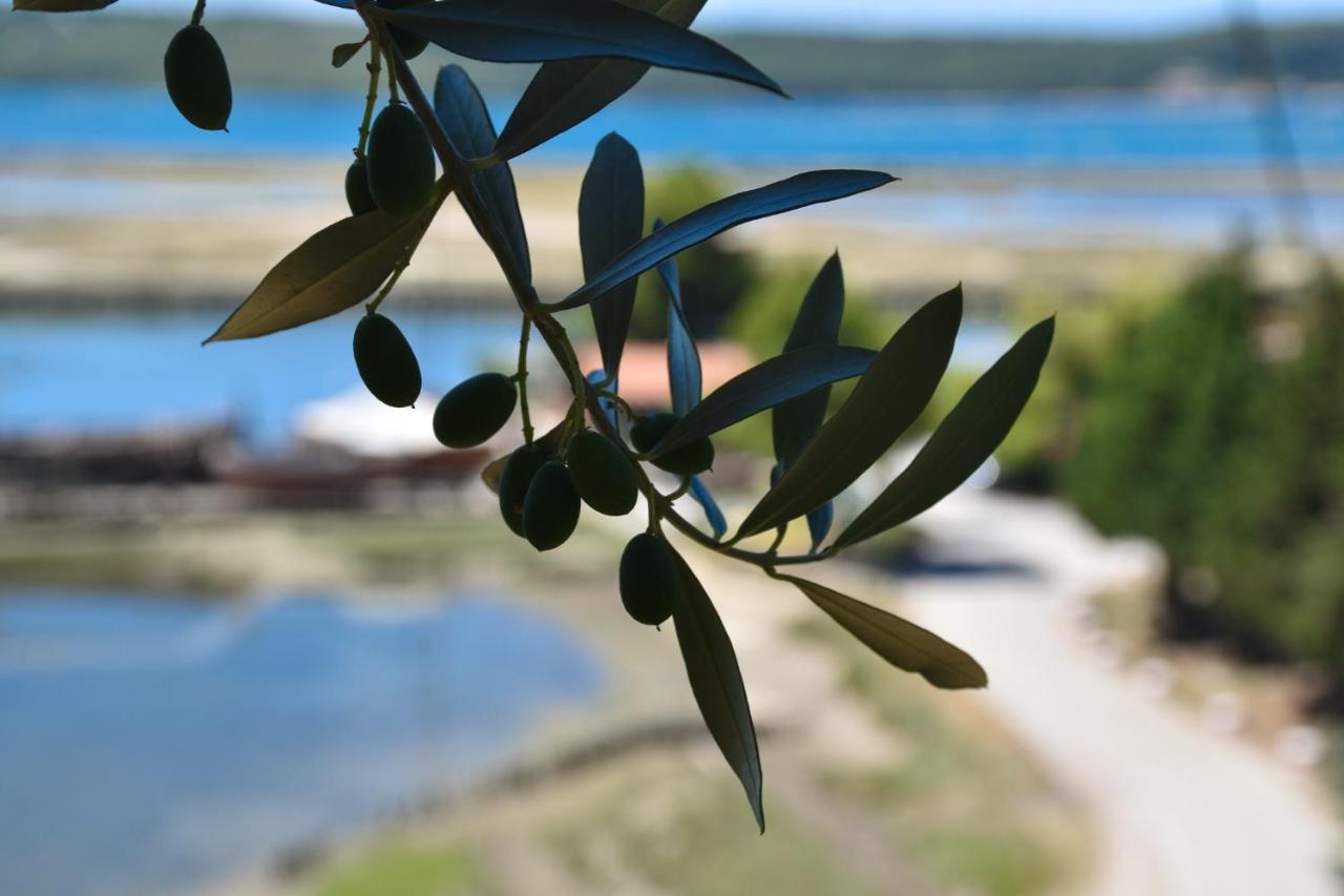 Olive Garden & Sea Apartments 波尔托罗 外观 照片